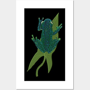 Floating Frog Posters and Art